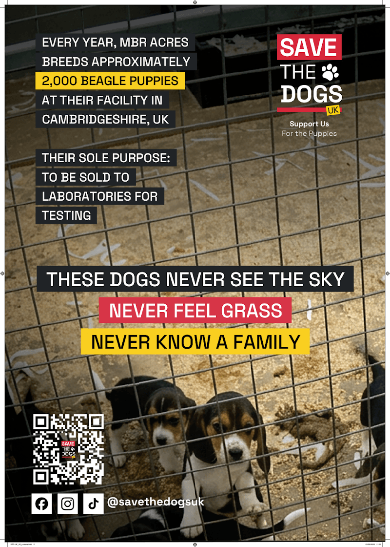 STD UK_26_posters_02.pdf
