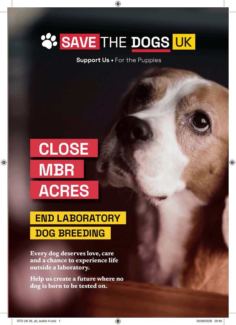 STD UK 26_a5_leaflet 4.pdf