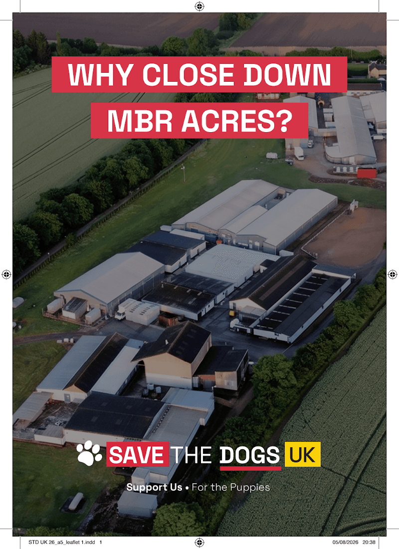 STD UK 26_a5_leaflet 1.pdf