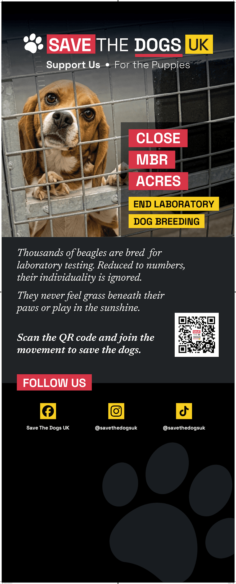 Pull Up Banner.pdf