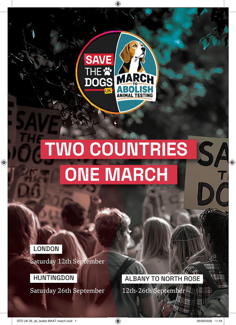 STD UK 26_a5_leaflet MAAT march.pdf