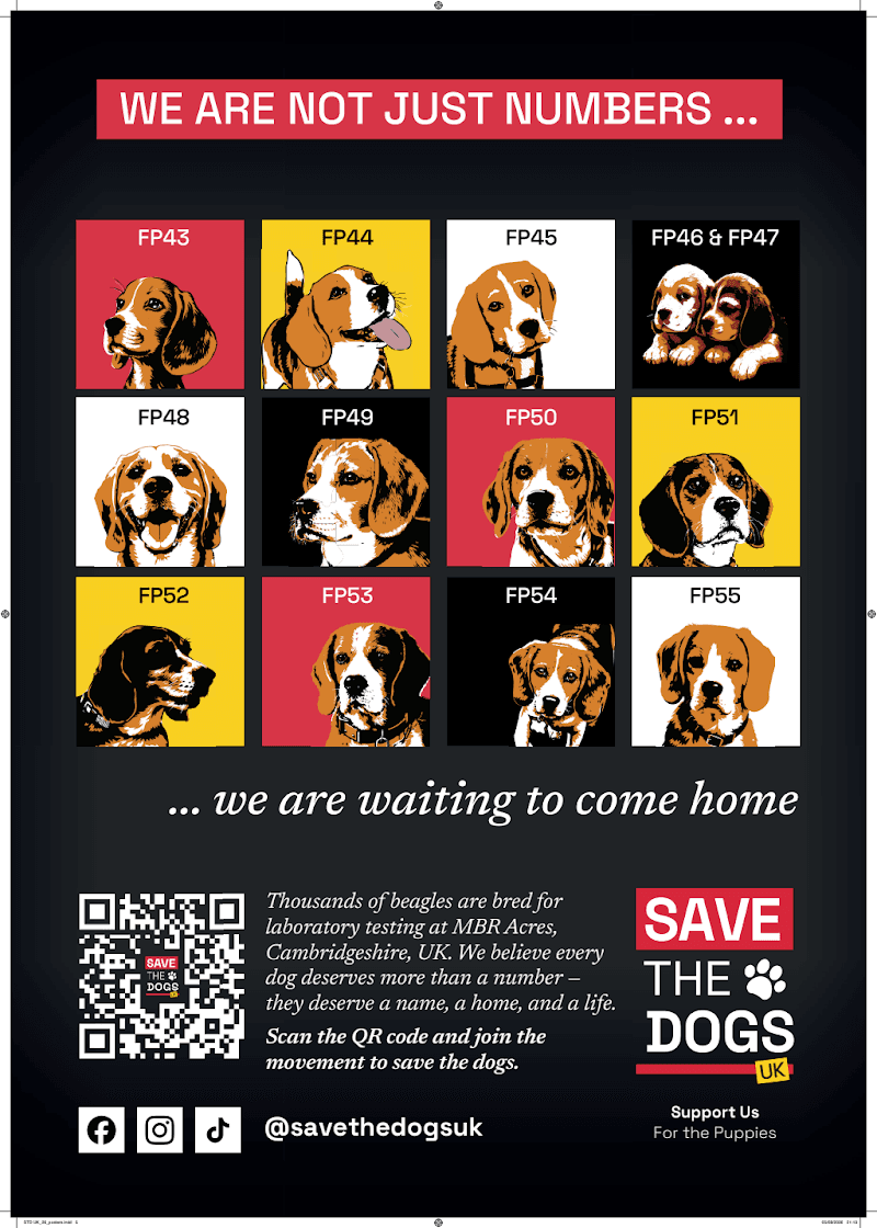 STD UK_26_posters_05.pdf