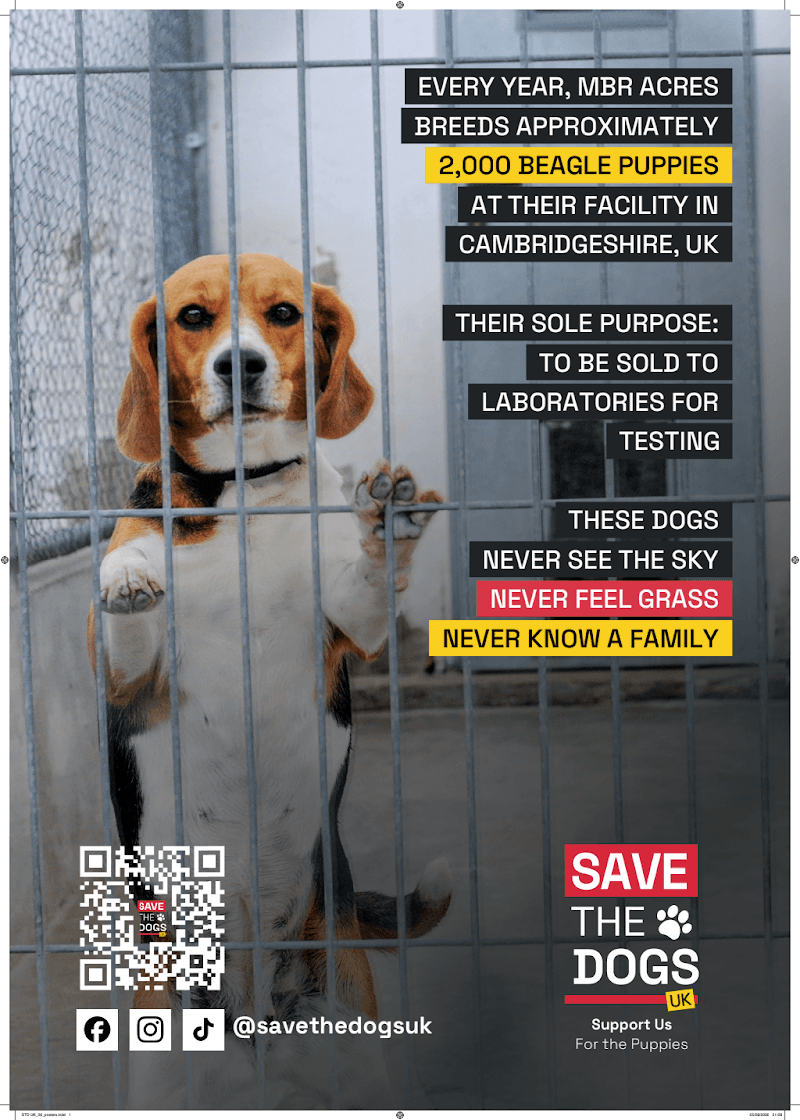 STD UK_26_posters_01.pdf