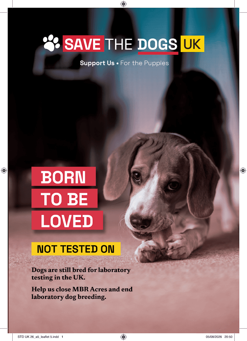 STD UK 26_a5_leaflet 5.pdf