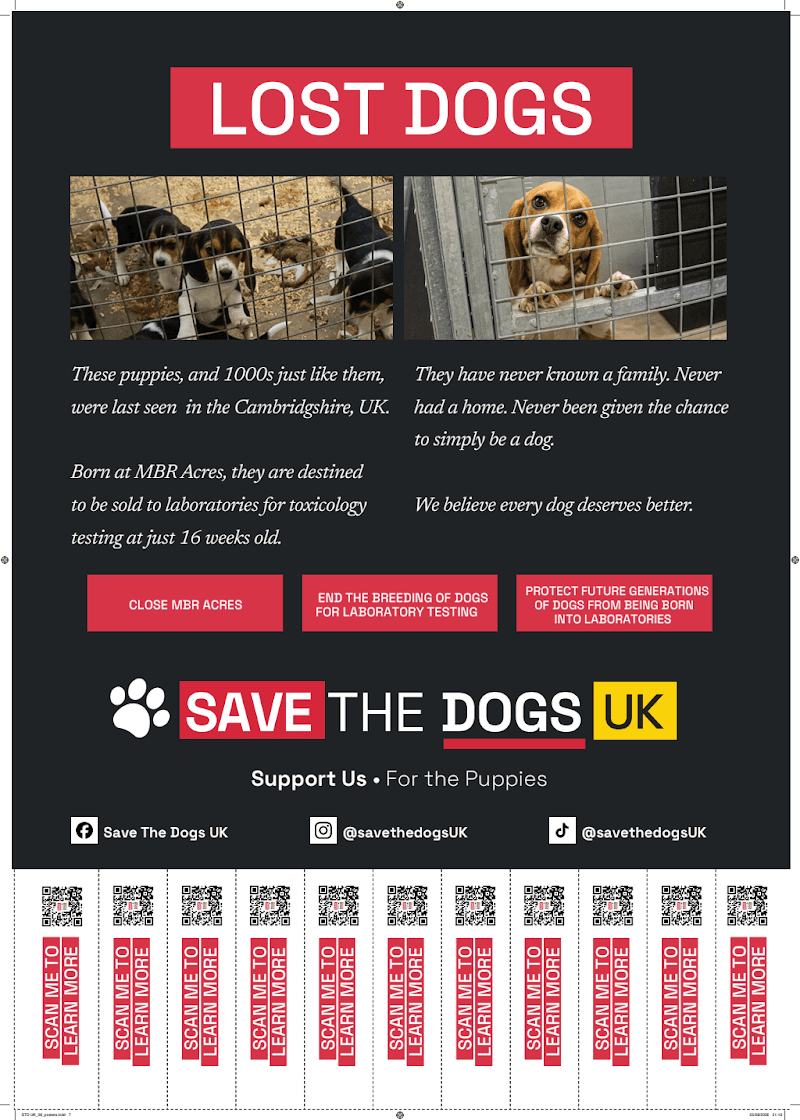 STD UK_26_posters_07.pdf