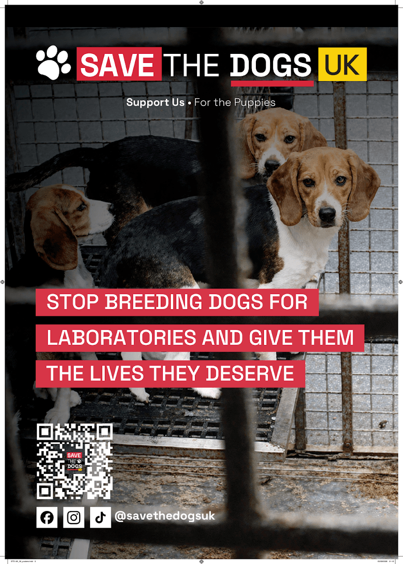 STD UK_26_posters_03.pdf