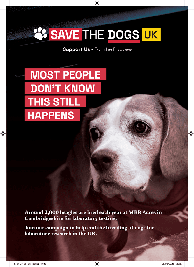 STD UK 26_a5_leaflet 7.pdf