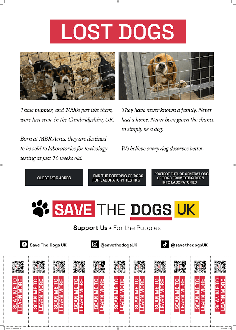 STD UK_26_posters_08.pdf