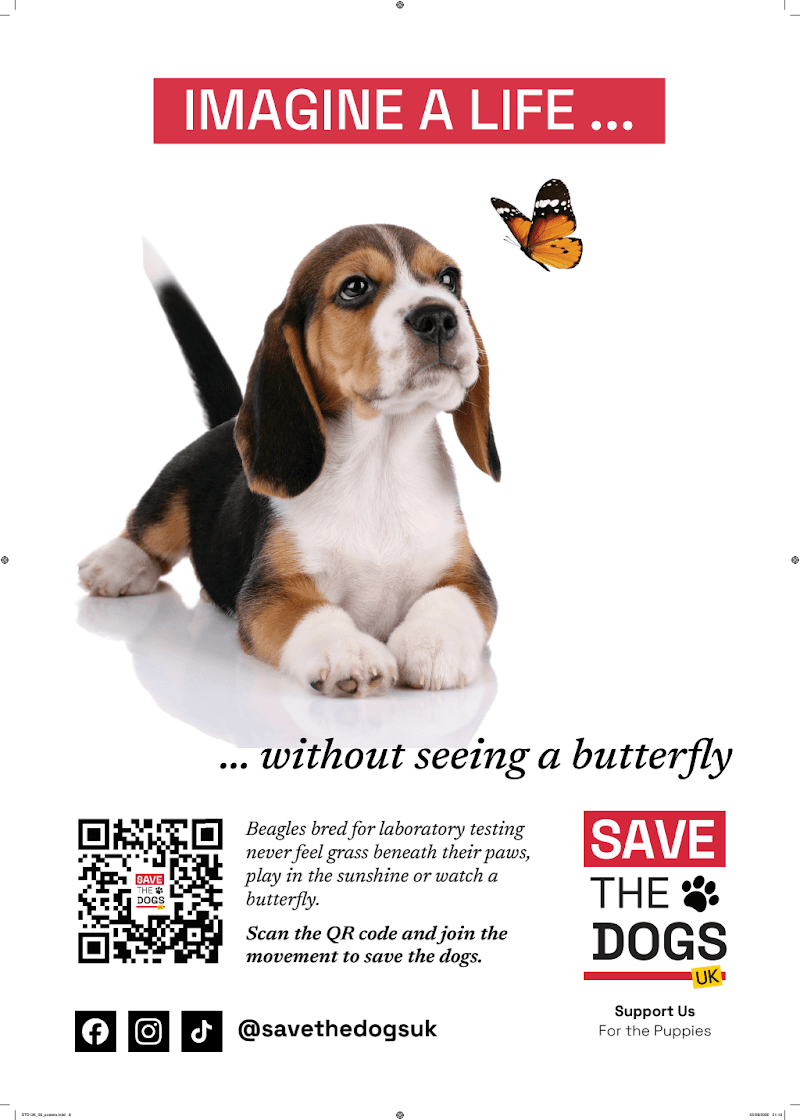 STD UK_26_posters_06.pdf