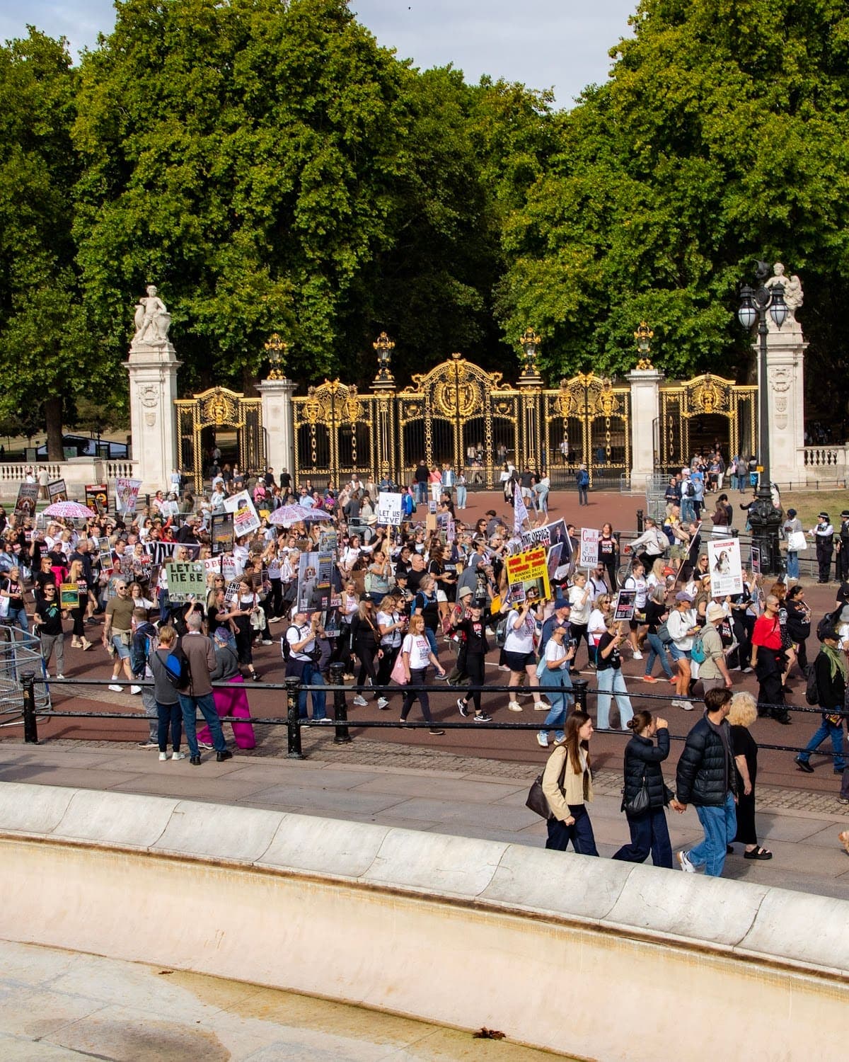 London march — photograph by Vegan Photographs