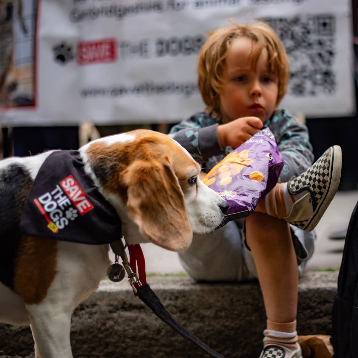 London march — photograph by Vegan Photographs