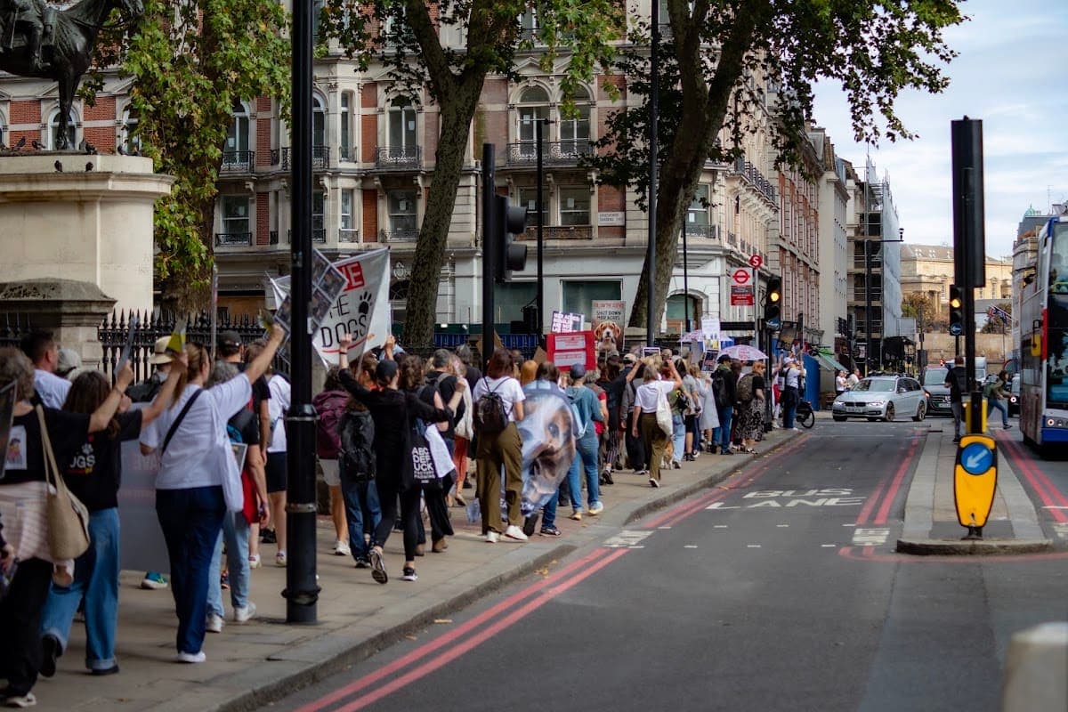 London march — photograph by Vegan Photographs