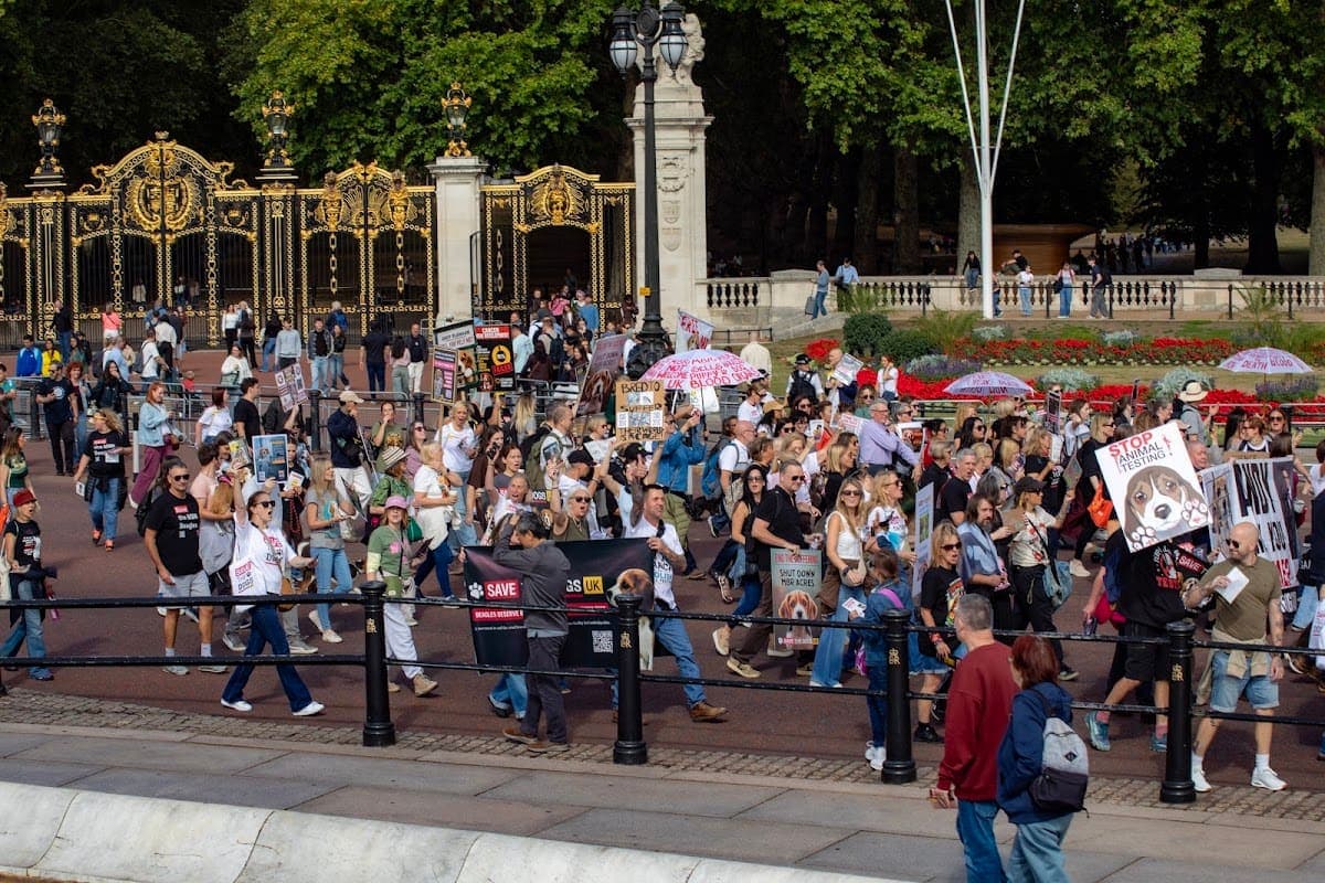 London march — photograph by Vegan Photographs