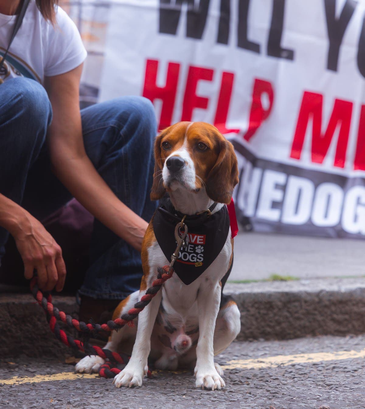 London march — photograph by Mags Media