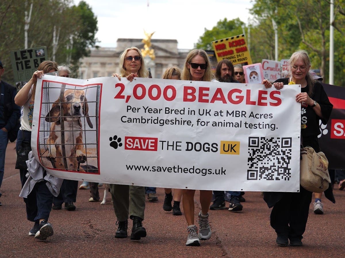 London march — photograph by Stephen Noulton