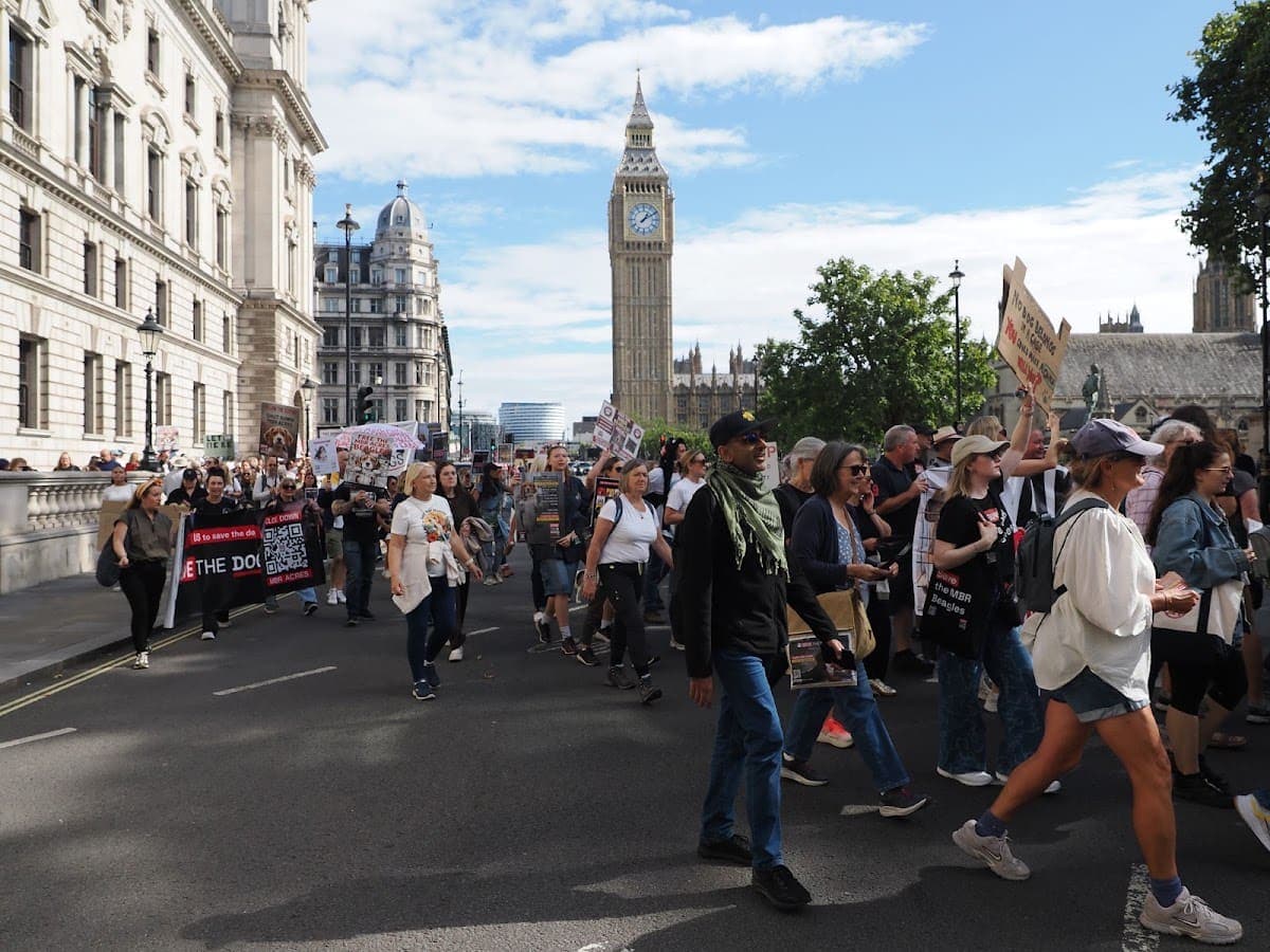 London march — photograph by Stephen Noulton
