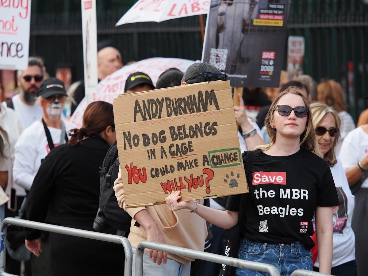 London march — photograph by Stephen Noulton