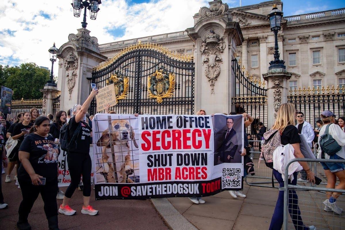 London march — photograph by Vegan Photographs