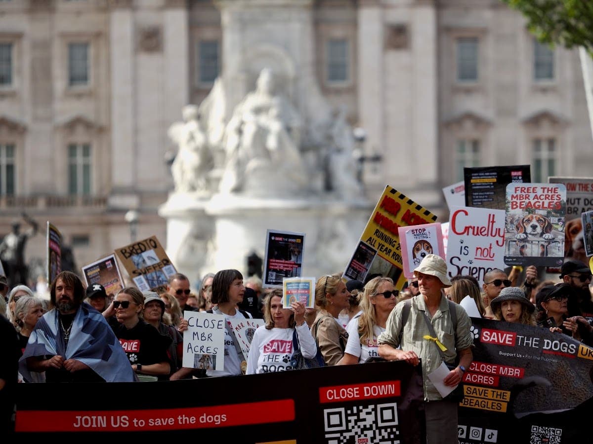 London march — photograph by Stephen Noulton