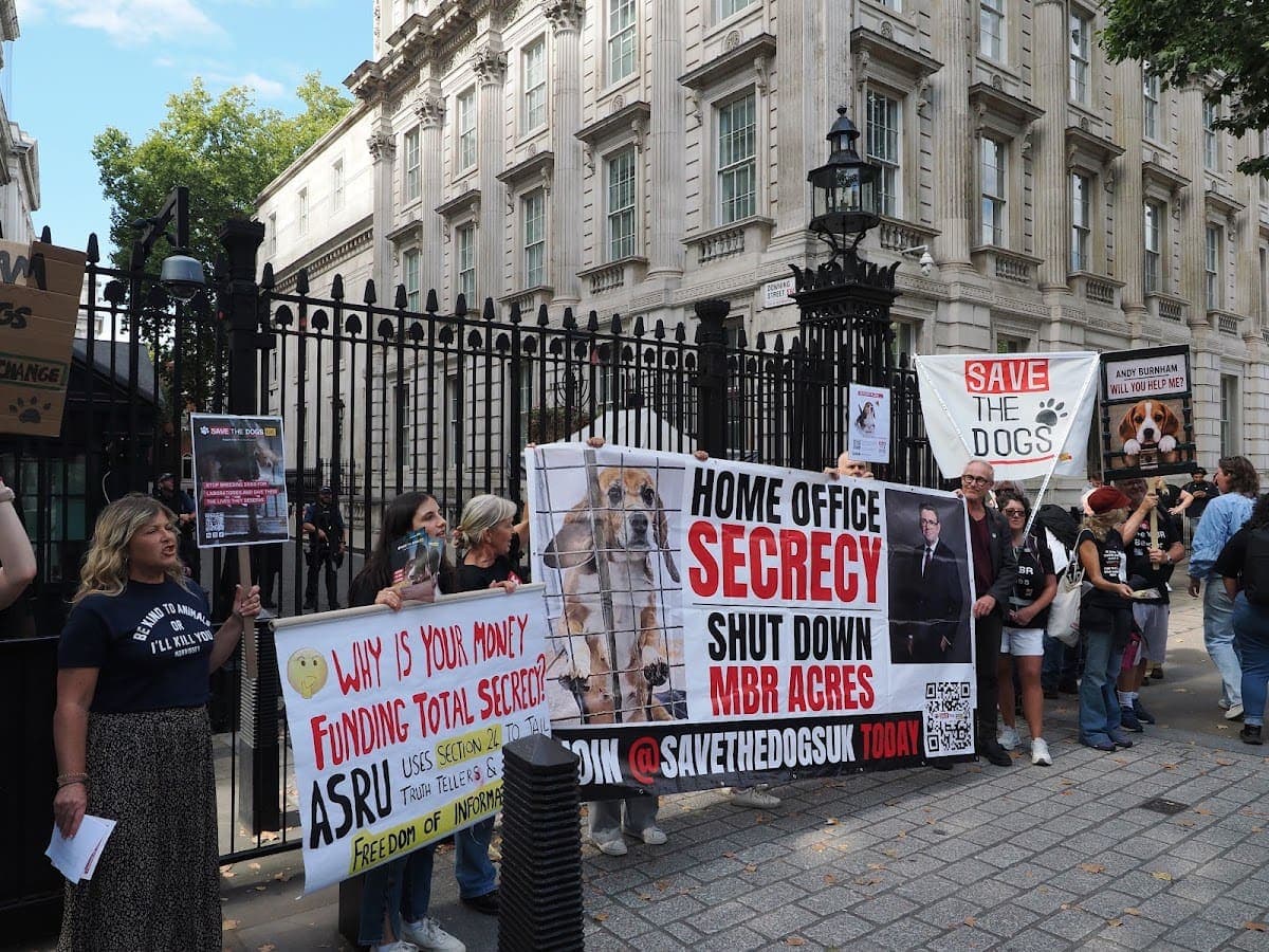 London march — photograph by Stephen Noulton