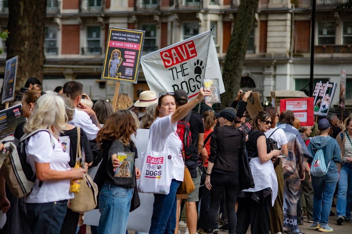 London march — photograph by Vegan Photographs