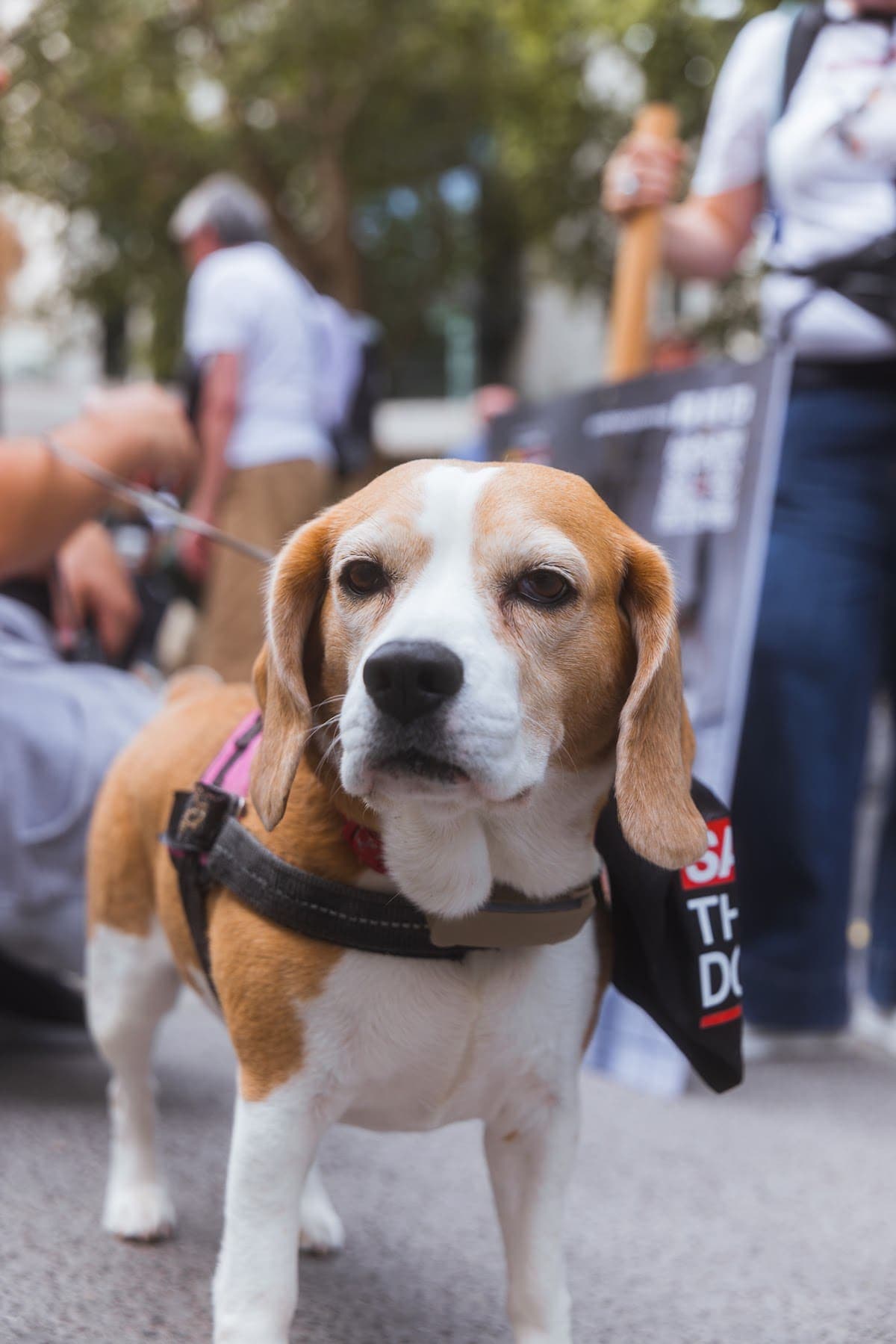 London march — photograph by Mags Media