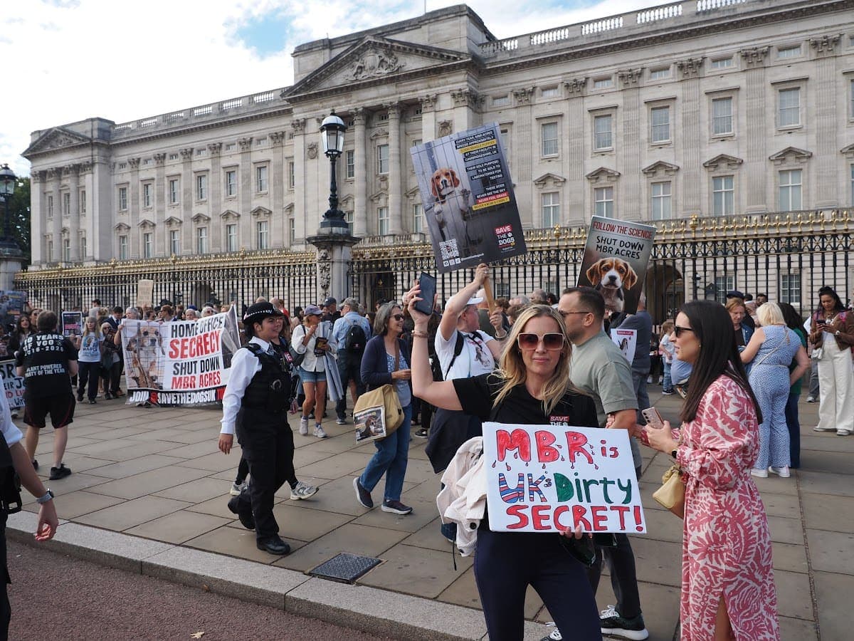 London march — photograph by Stephen Noulton