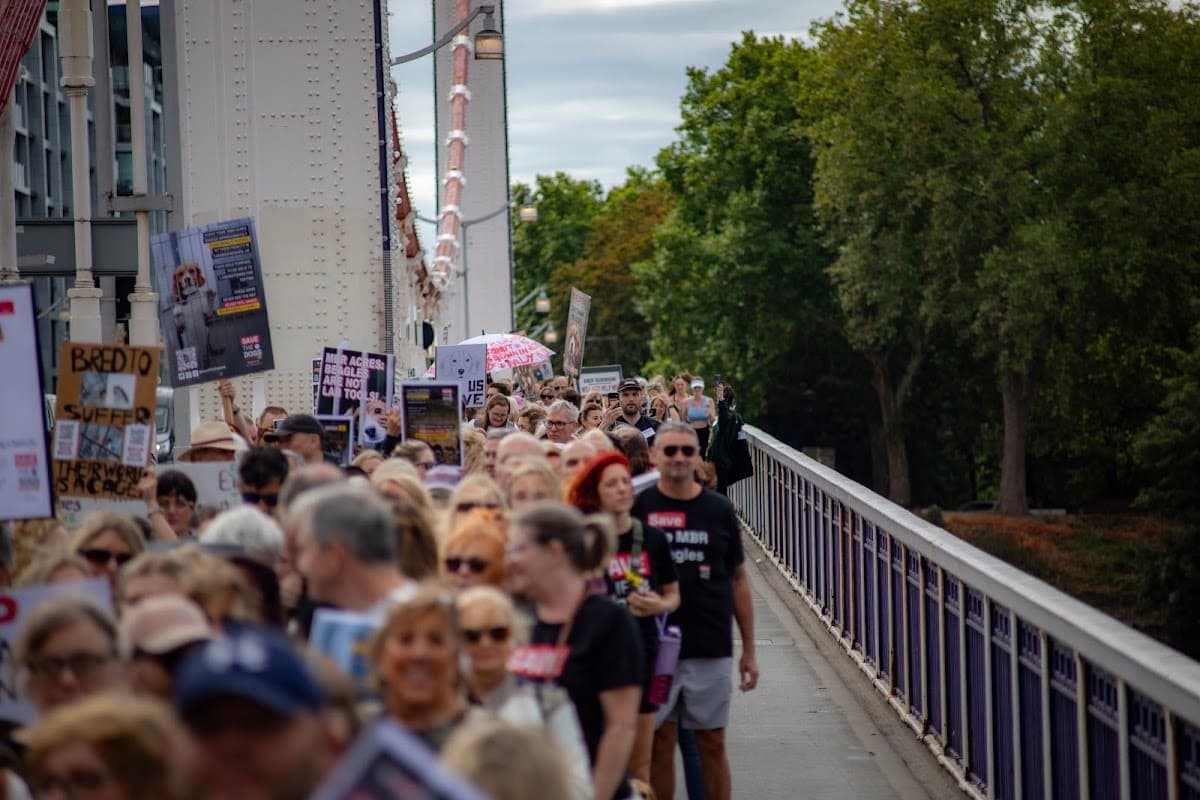 London march — photograph by Vegan Photographs