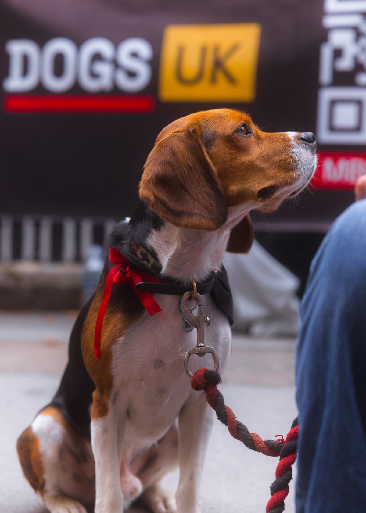 London march — photograph by Mags Media