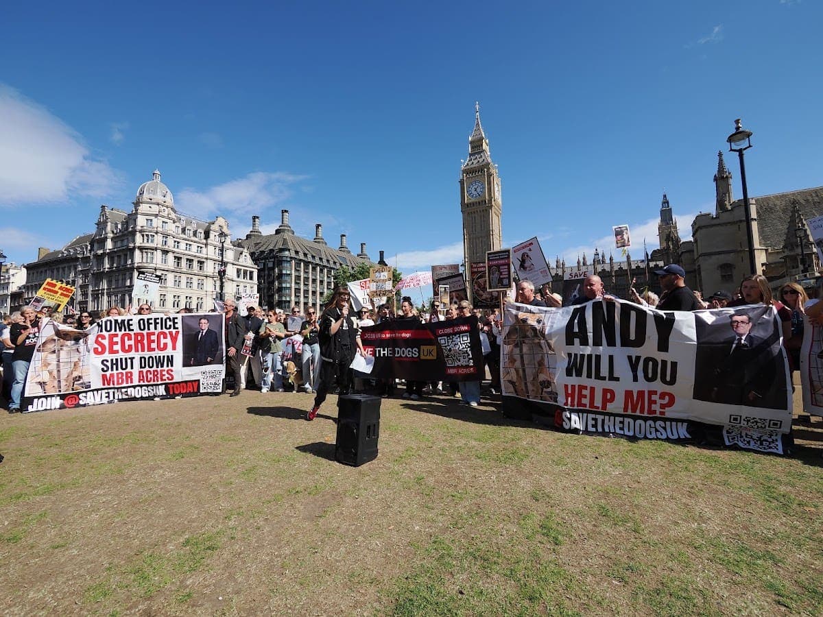 London march — photograph by Stephen Noulton