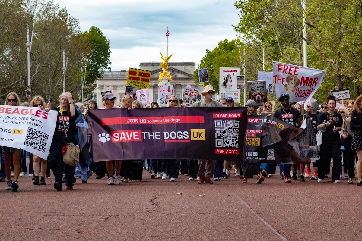 London march — photograph by Vegan Photographs