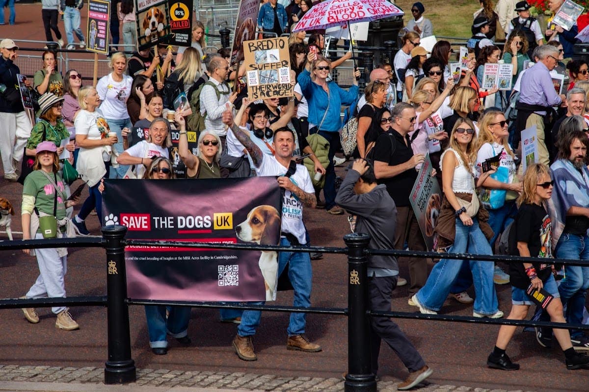 London march — photograph by Vegan Photographs