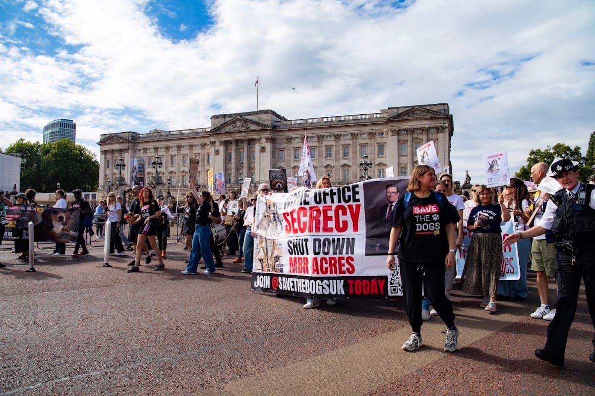 London march — photograph by Vegan Photographs