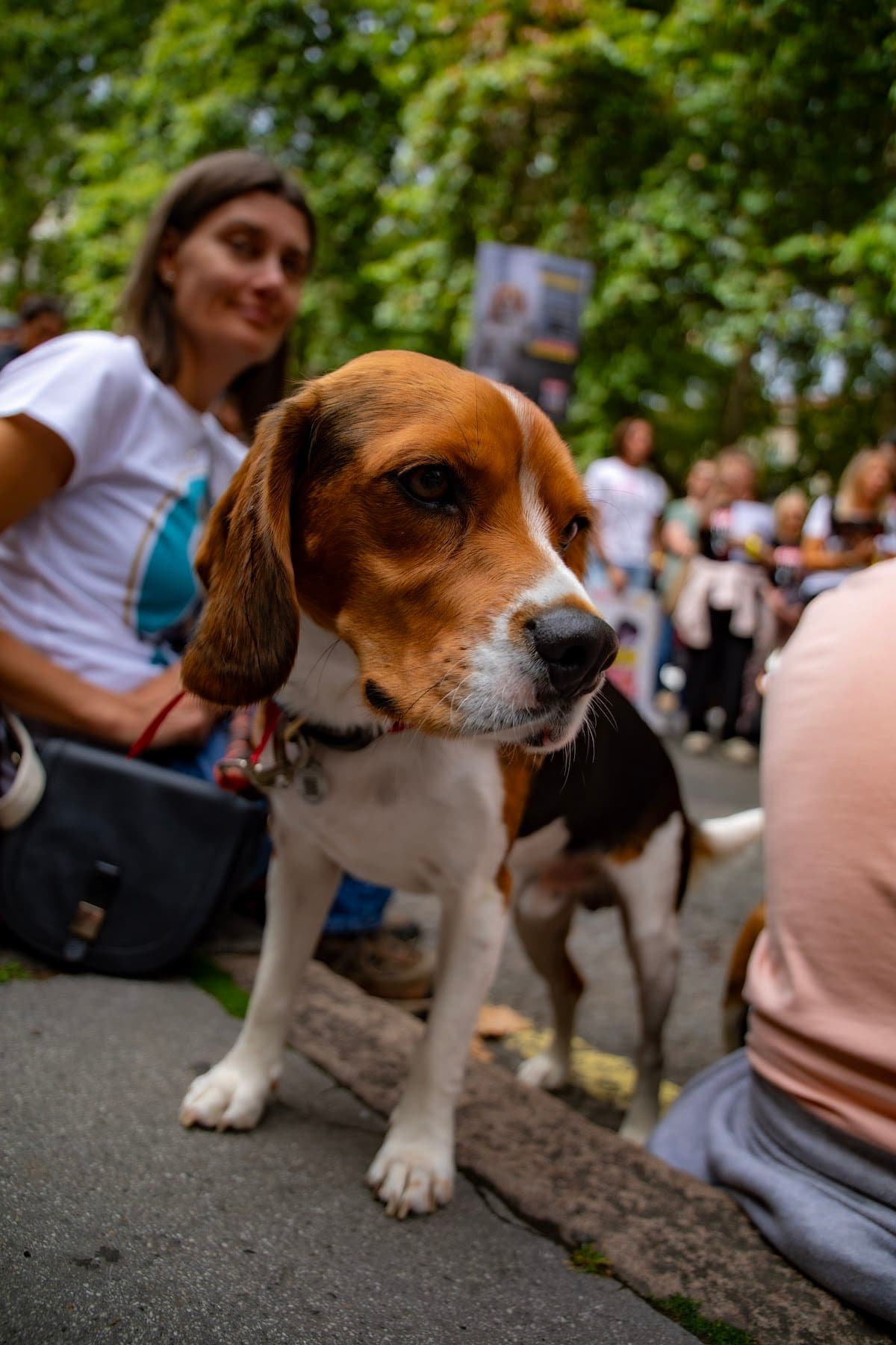 London march — photograph by Vegan Photographs