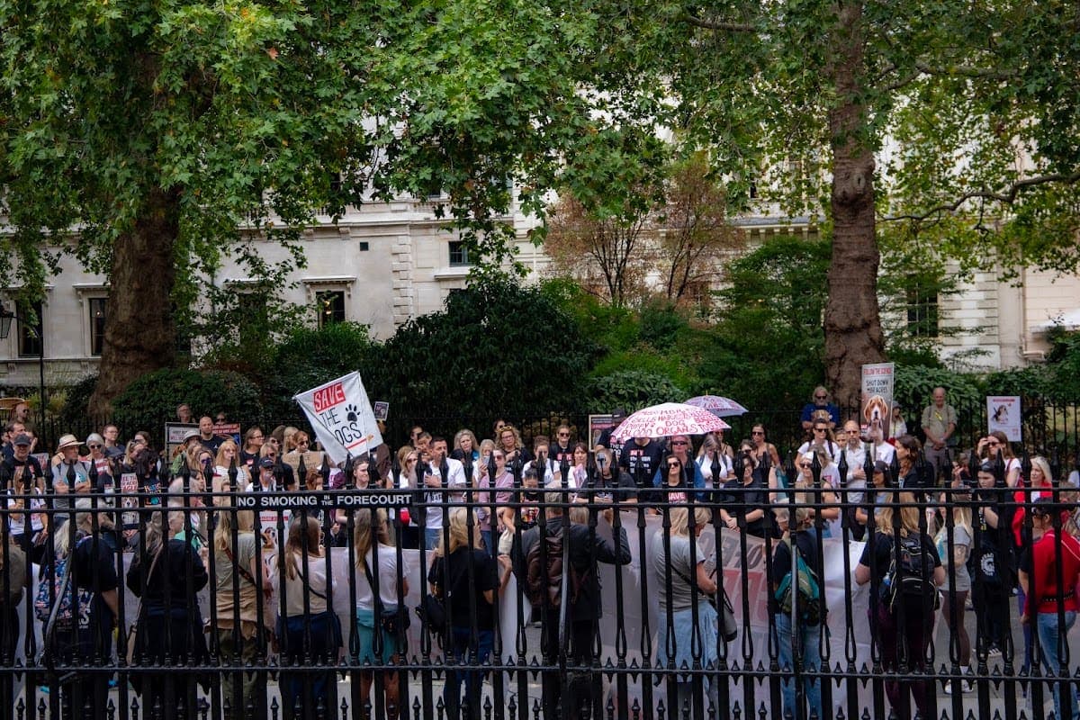 London march — photograph by Vegan Photographs