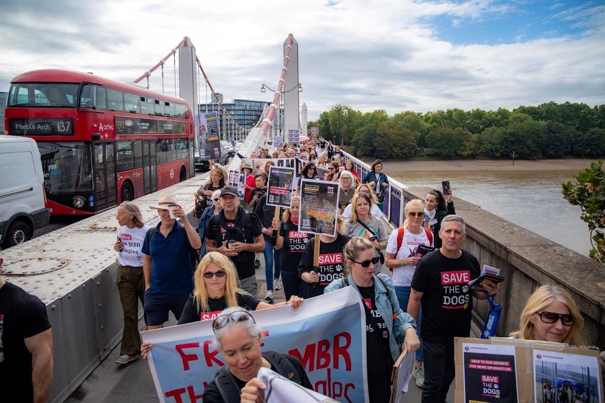 London march — photograph by Vegan Photographs