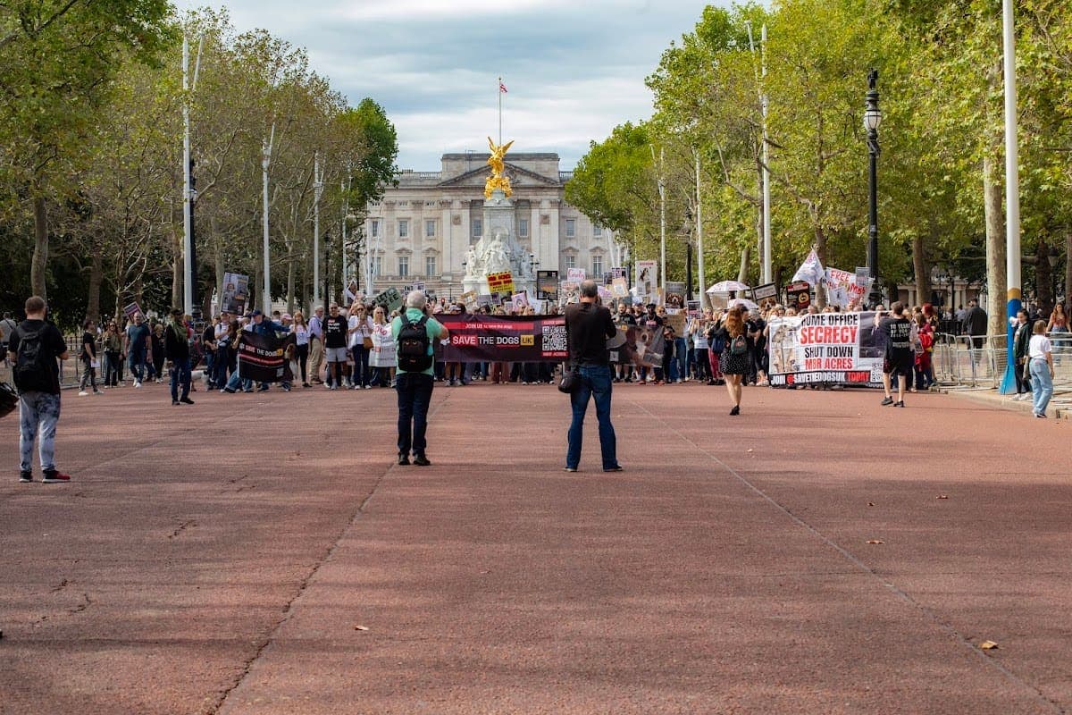 London march — photograph by Vegan Photographs