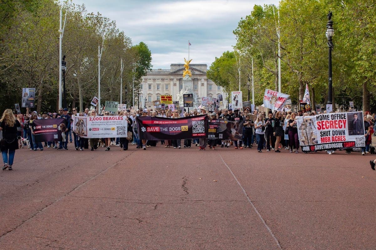 London march — photograph by Vegan Photographs