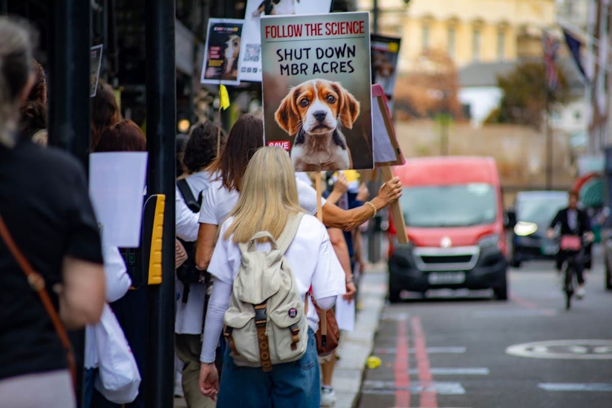London march — photograph by Vegan Photographs