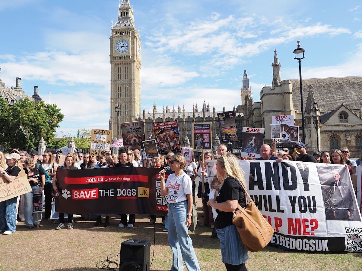 London march — photograph by Stephen Noulton