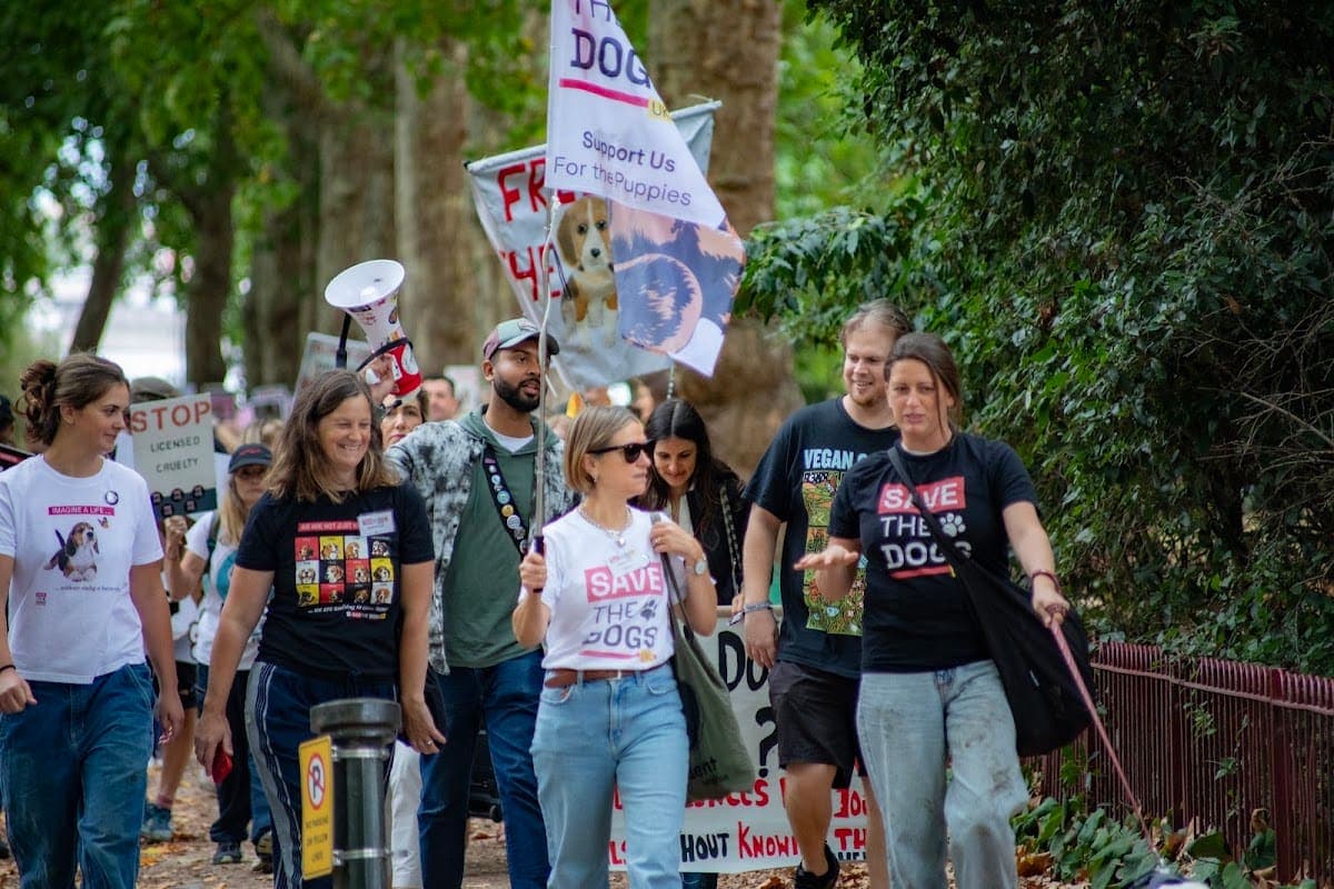 London march — photograph by Vegan Photographs