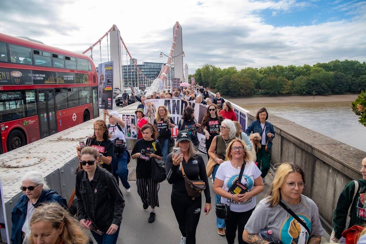 London march — photograph by Vegan Photographs