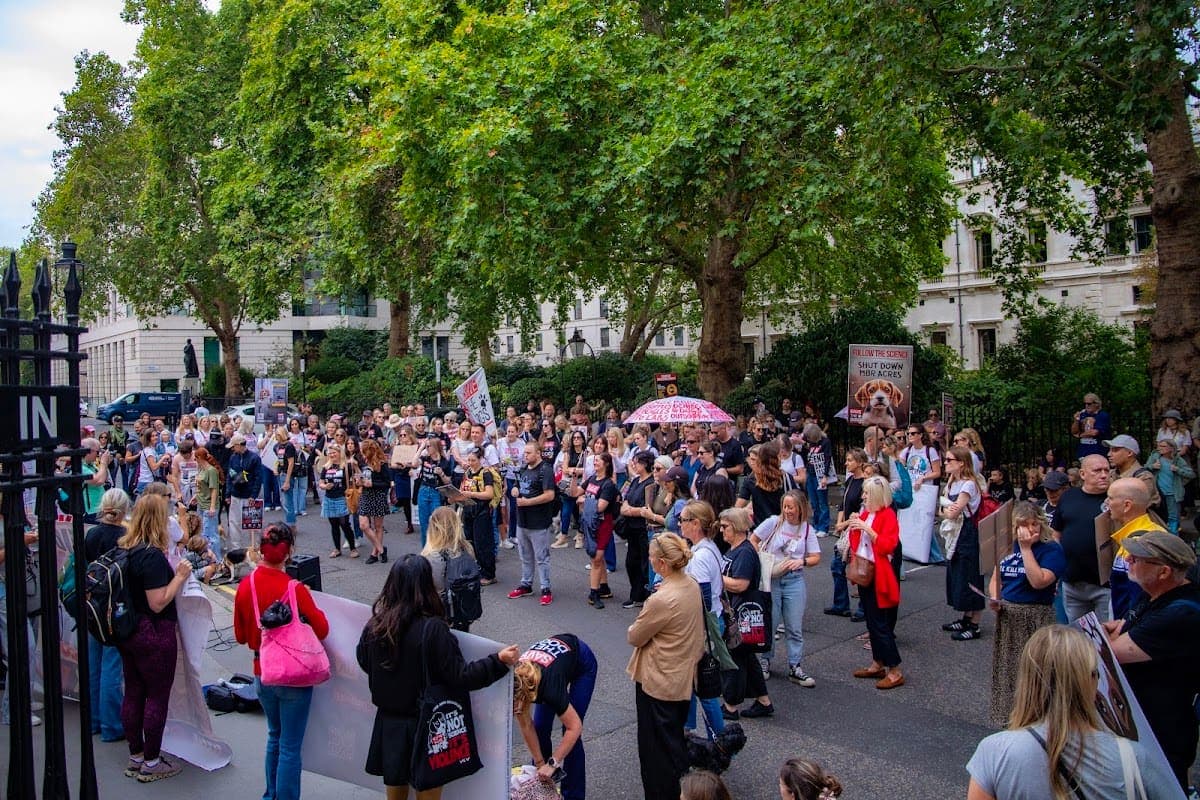 London march — photograph by Vegan Photographs