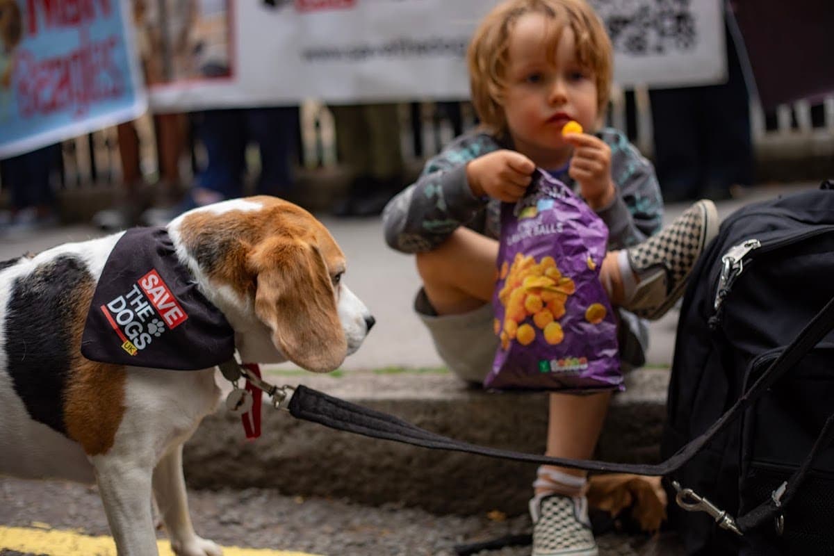 London march — photograph by Vegan Photographs