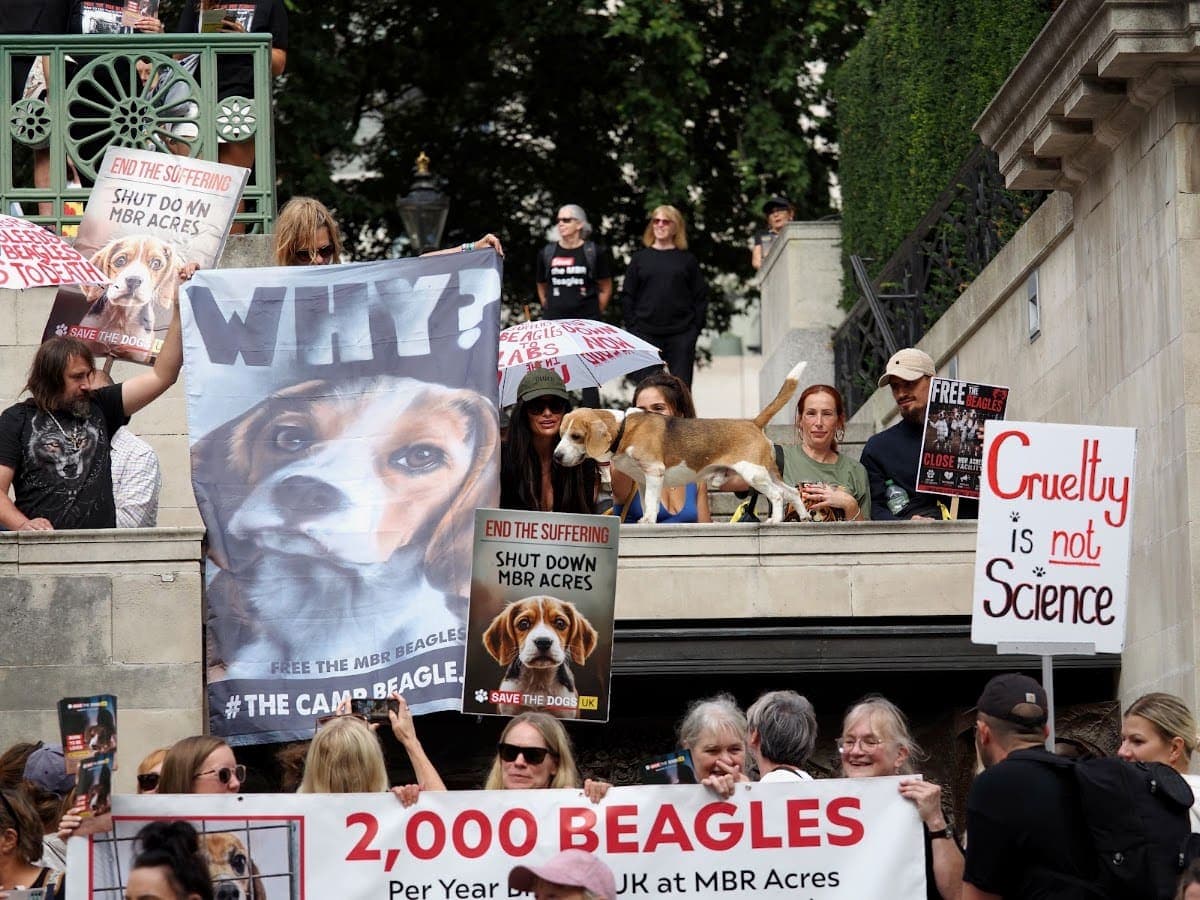 London march — photograph by Stephen Noulton