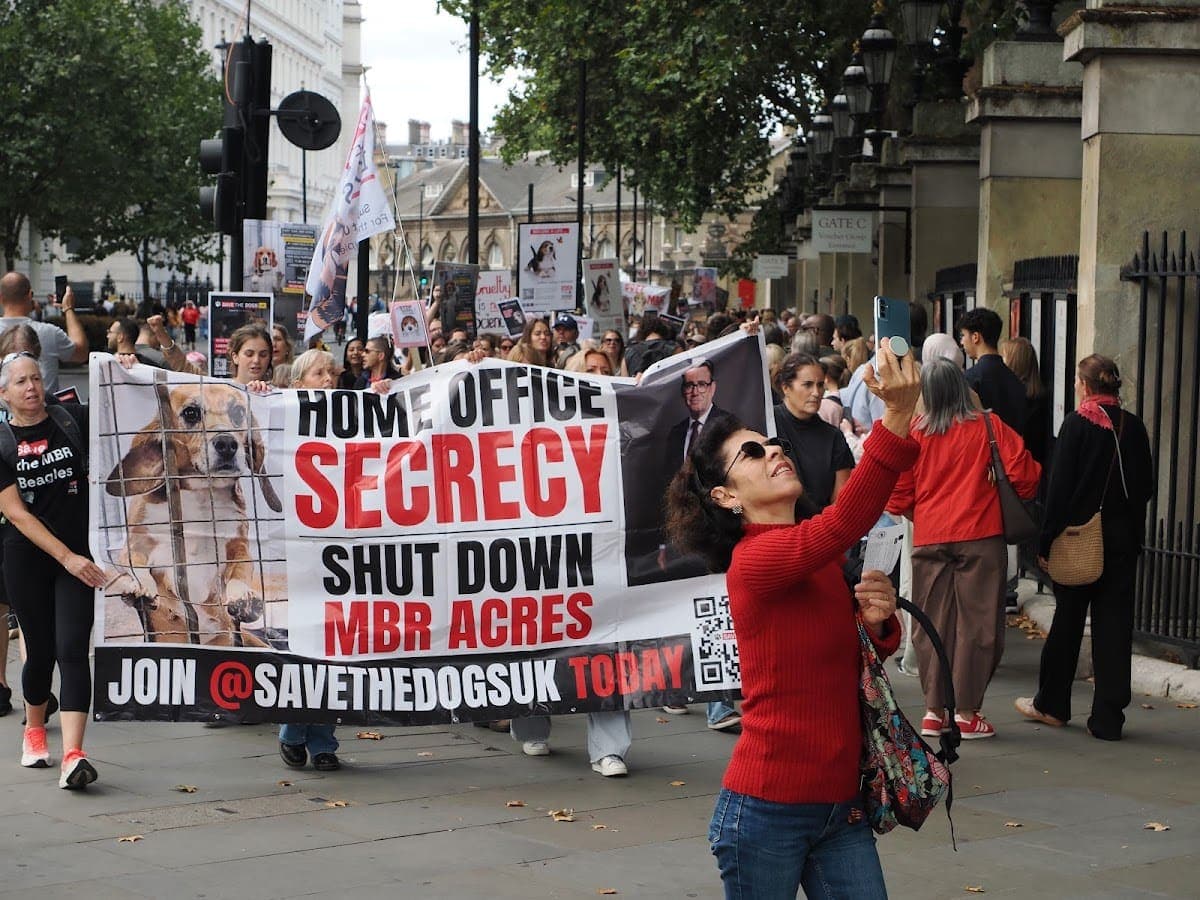 London march — photograph by Stephen Noulton