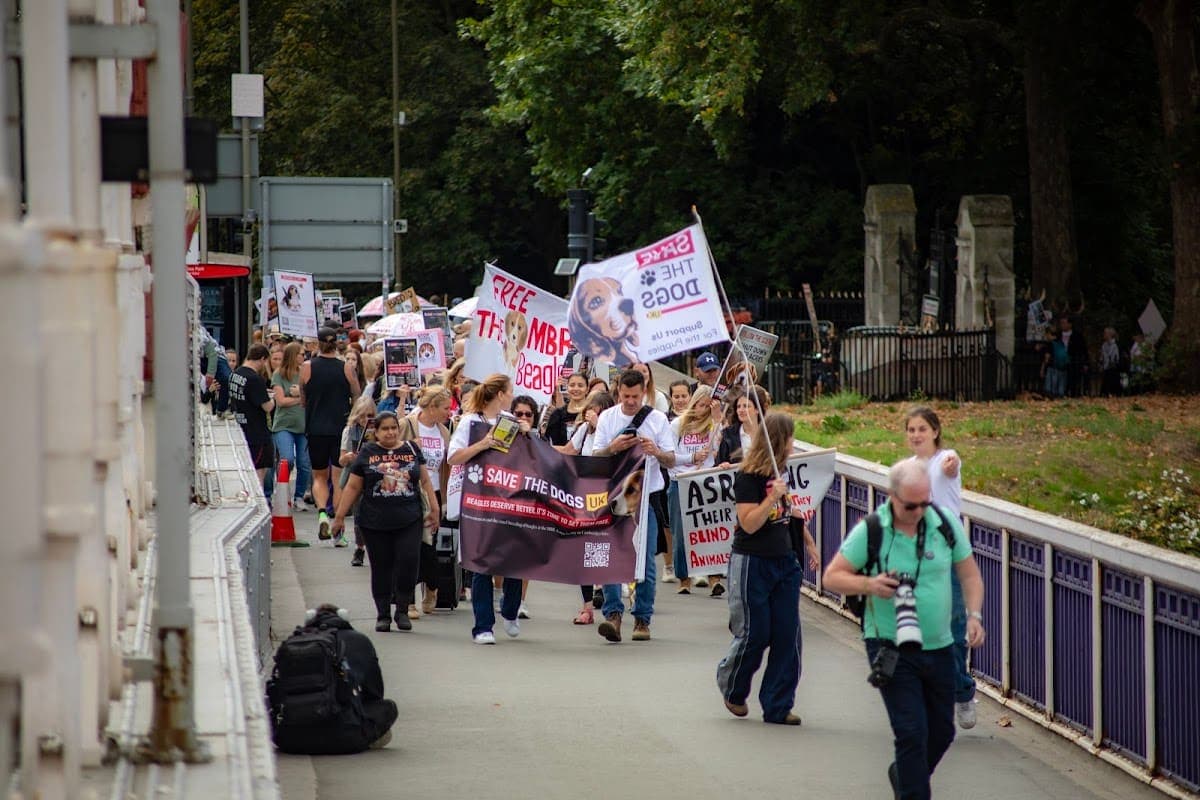 London march — photograph by Vegan Photographs