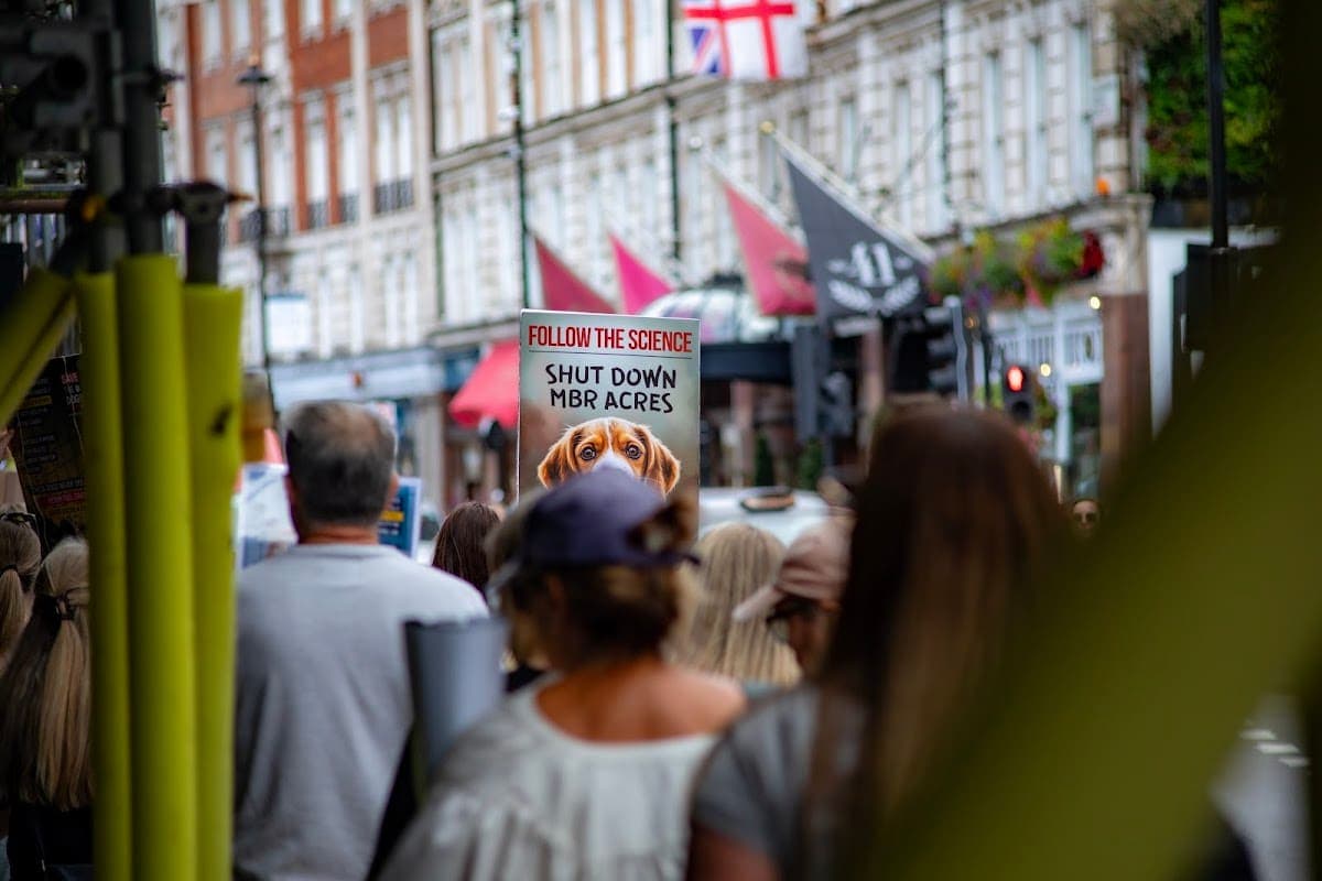 London march — photograph by Vegan Photographs
