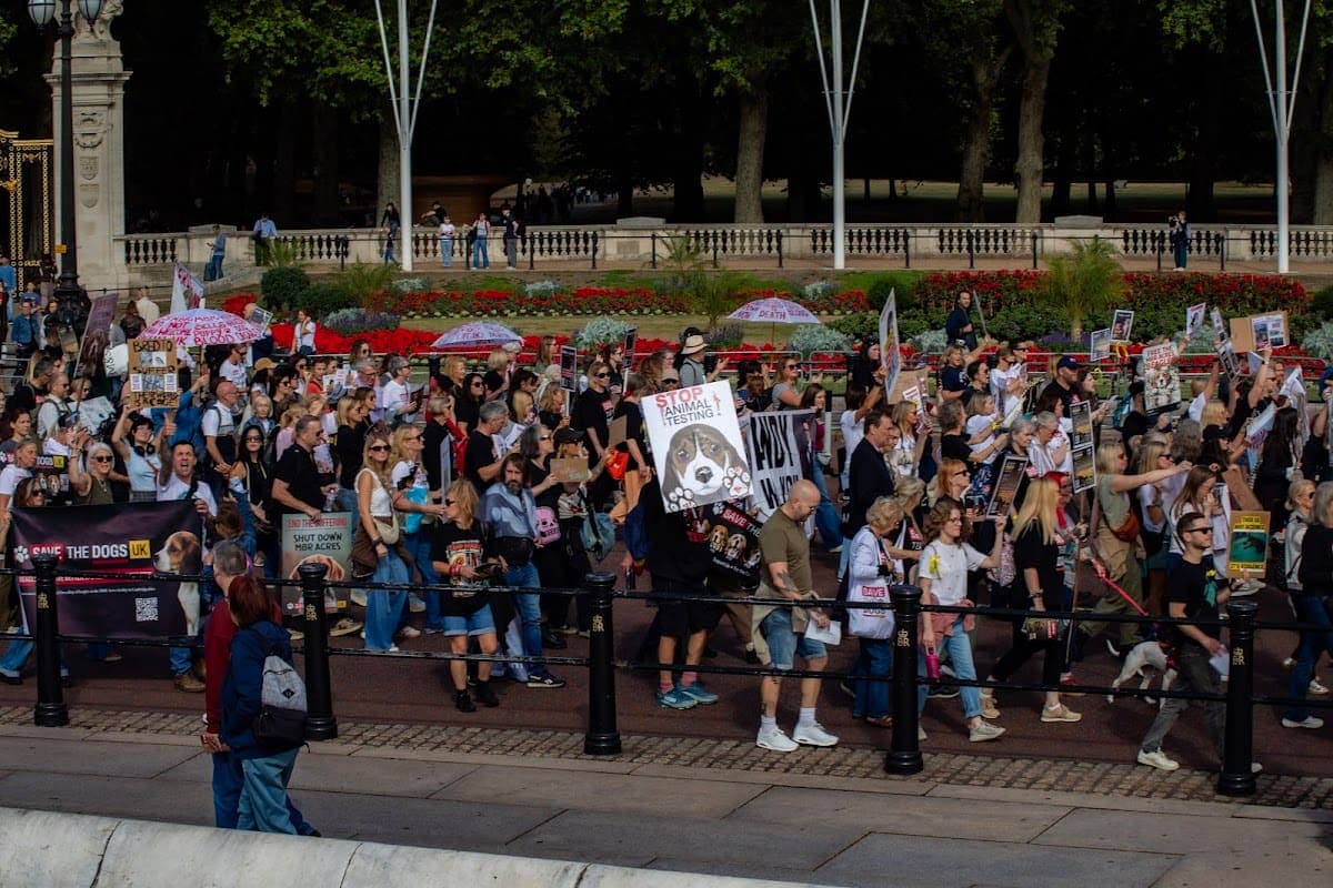 London march — photograph by Vegan Photographs