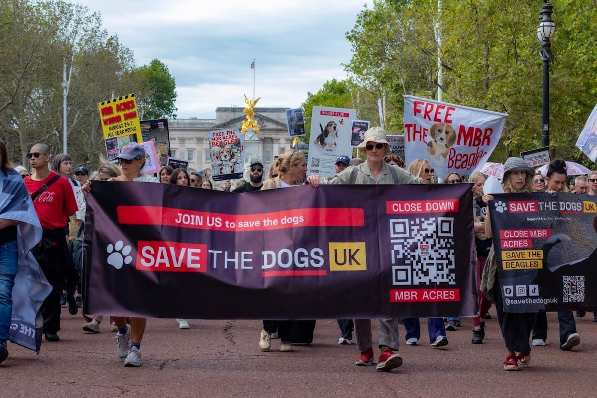 London march — photograph by Vegan Photographs